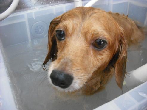 ファイル 916-2.jpg