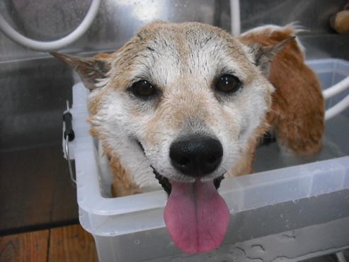 ファイル 917-1.jpg