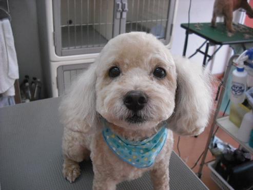 ファイル 918-1.jpg