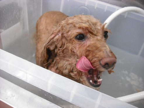 ファイル 920-2.jpg