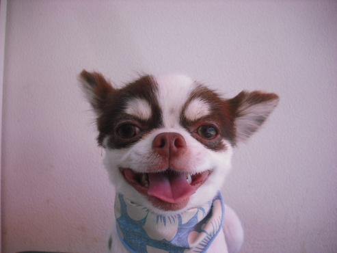 ファイル 927-1.jpg