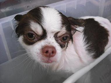 ファイル 927-2.jpg