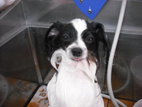 ファイル 928-3.jpg