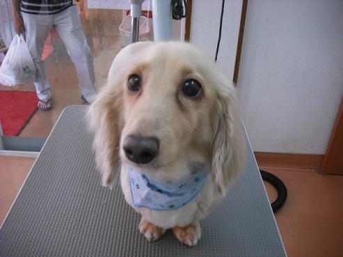 ファイル 929-1.jpg