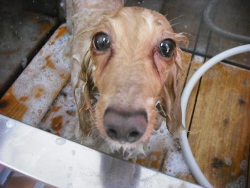 ファイル 929-2.jpg