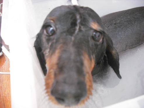 ファイル 93-2.jpg