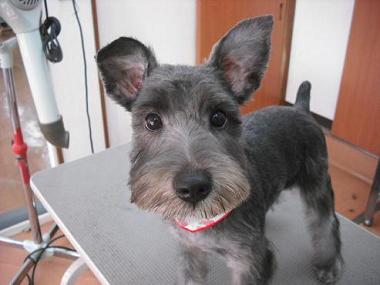 ファイル 930-1.jpg