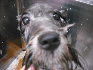 ファイル 930-2.jpg