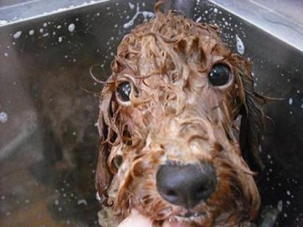 ファイル 931-2.jpg