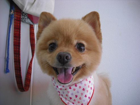 ファイル 932-1.jpg