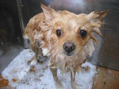 ファイル 932-2.jpg