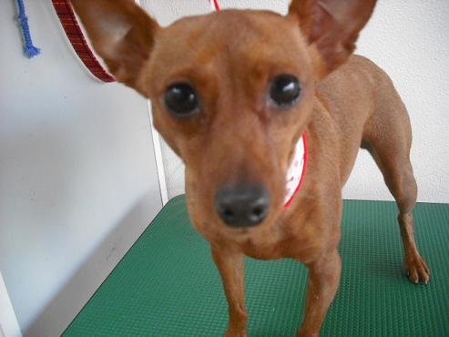 ファイル 933-1.jpg