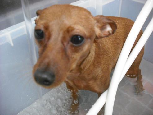 ファイル 933-2.jpg