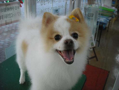 ファイル 934-1.jpg