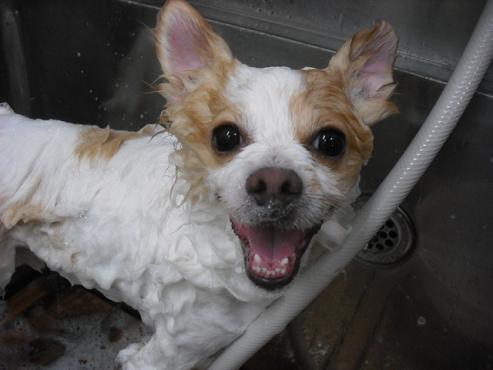 ファイル 934-2.jpg