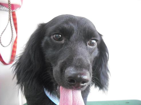 ファイル 935-1.jpg