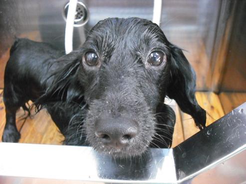 ファイル 935-2.jpg