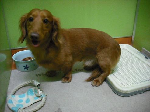 ファイル 937-2.jpg