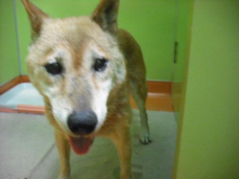 ファイル 938-2.jpg