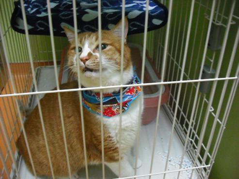 ファイル 939-2.jpg