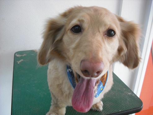 ファイル 94-1.jpg