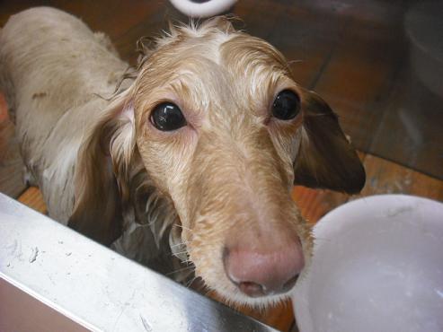 ファイル 94-3.jpg