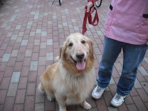 ファイル 940-1.jpg