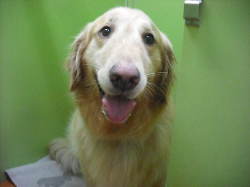 ファイル 940-2.jpg