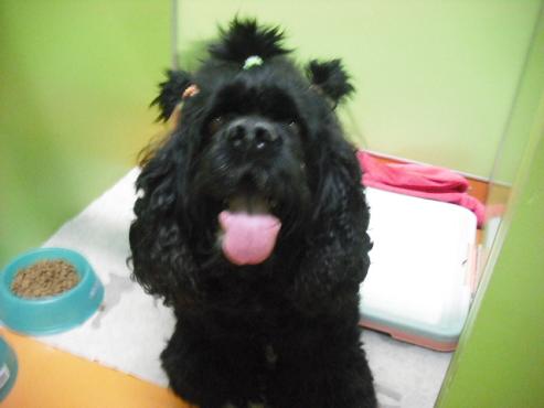 ファイル 941-2.jpg