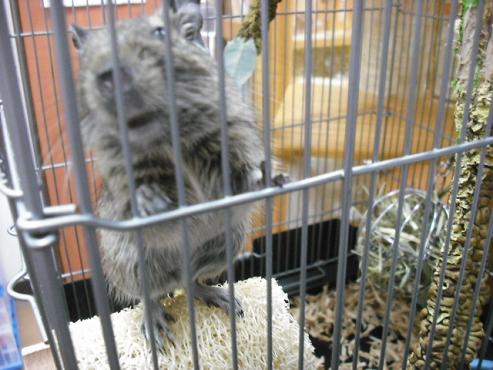 ファイル 942-2.jpg