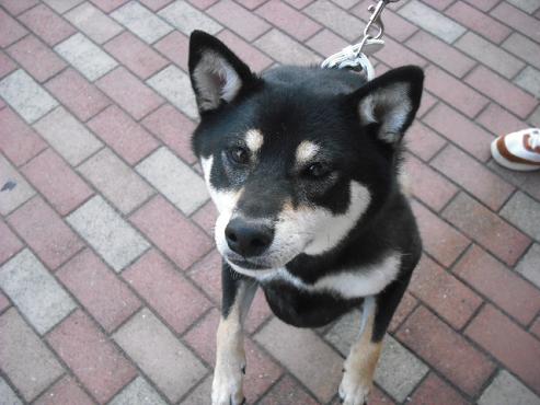 ファイル 943-1.jpg