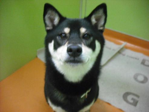 ファイル 943-2.jpg