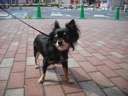 ファイル 944-2.jpg