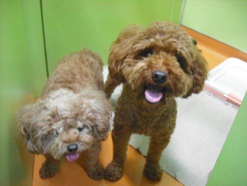 ファイル 945-2.jpg