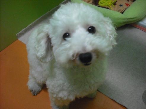 ファイル 948-2.jpg