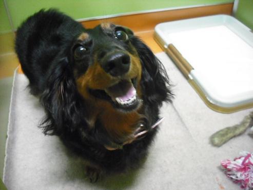 ファイル 949-2.jpg