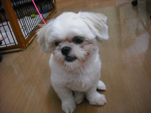 ファイル 950-2.jpg