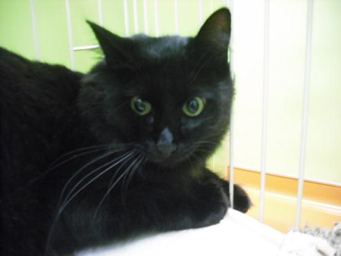 ファイル 954-2.jpg