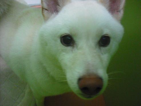 ファイル 955-2.jpg