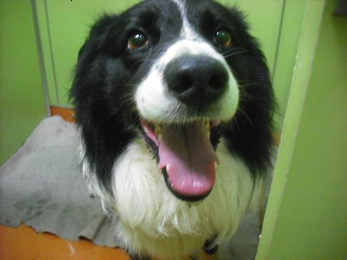 ファイル 959-2.jpg