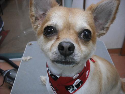 ファイル 96-1.jpg