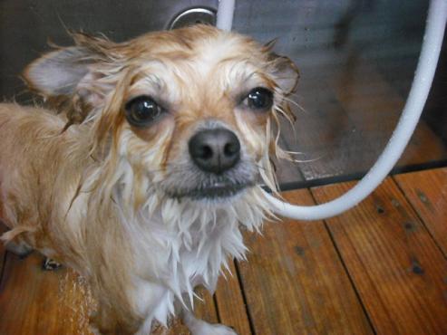 ファイル 96-2.jpg