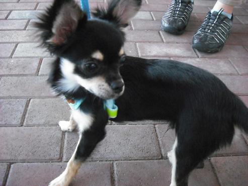 ファイル 966-2.jpg