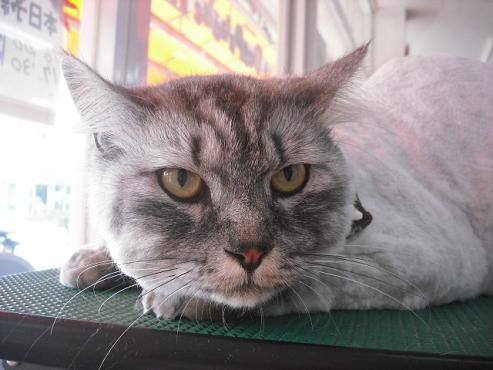 ファイル 97-1.jpg