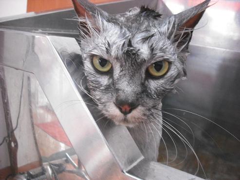 ファイル 97-3.jpg