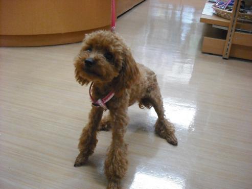 ファイル 971-3.jpg