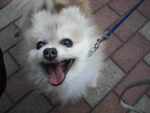 ファイル 973-1.jpg