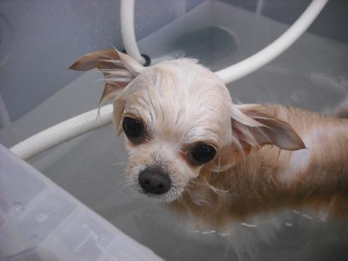 ファイル 98-3.jpg