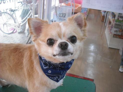 ファイル 99-1.jpg