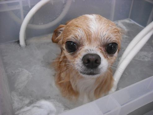 ファイル 99-2.jpg